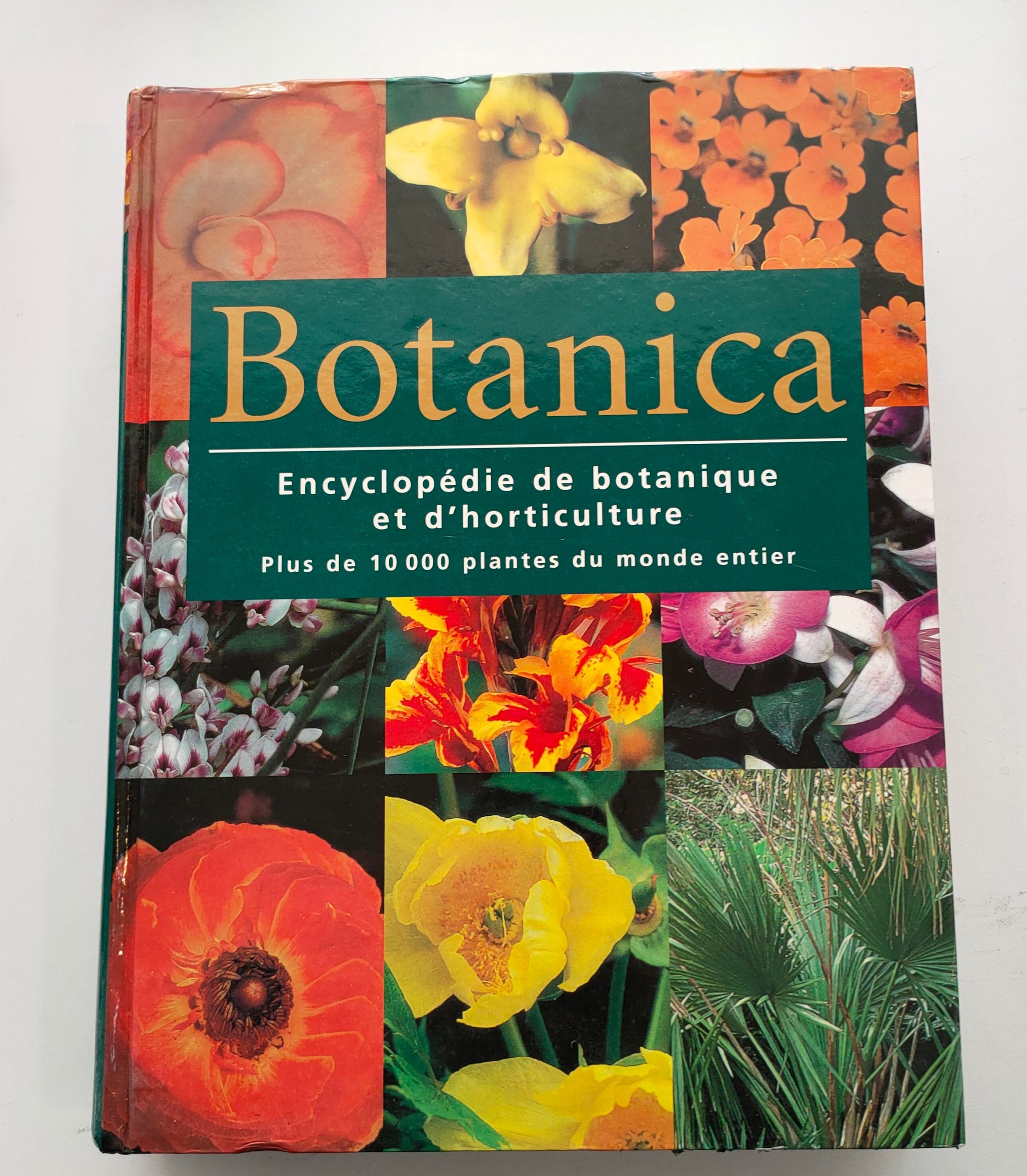 Featured image for “Botanica, Encyclopédie de botanique et d'horticulture / Könemann / 2001”